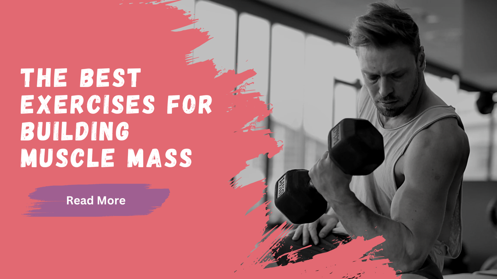 The Best Exercises for Building Muscle Mass